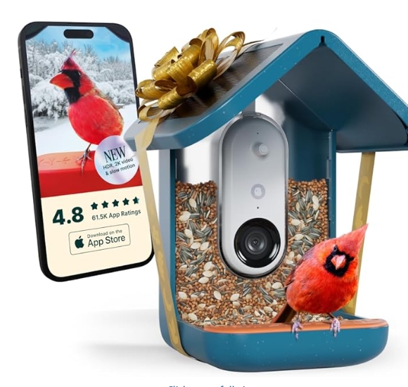 为什么Bird Buddy 这类产品更容易被红人内容“放大”？