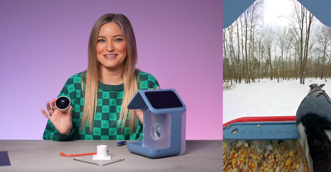 千亿“观鸟”赛道，正在北美红人市场中默默爆发