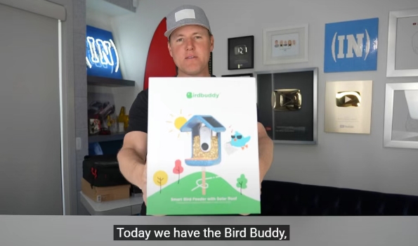 从小众爱好到全民运动，观鸟在北美有多大市场？