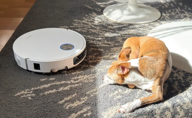 宠物消费升温，宠物品牌为什么要做种草营销？