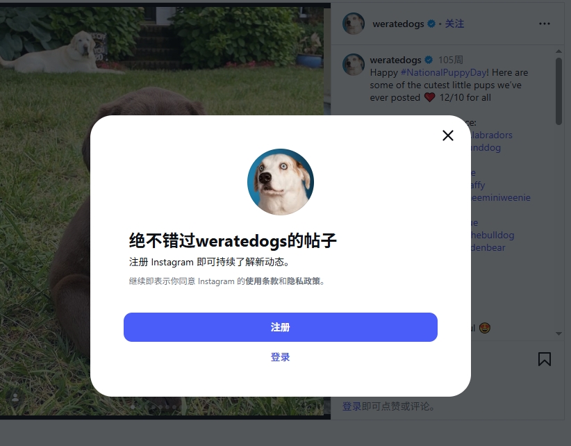 宠物种草的核心，不是“拍萌宠”，而是“拍信任”